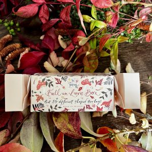 Pochette surprise Automne thés bio