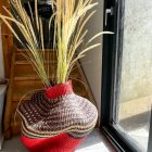 IMG 6957