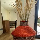 IMG 6972